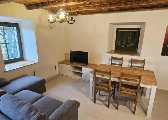 Viskic Holiday home *