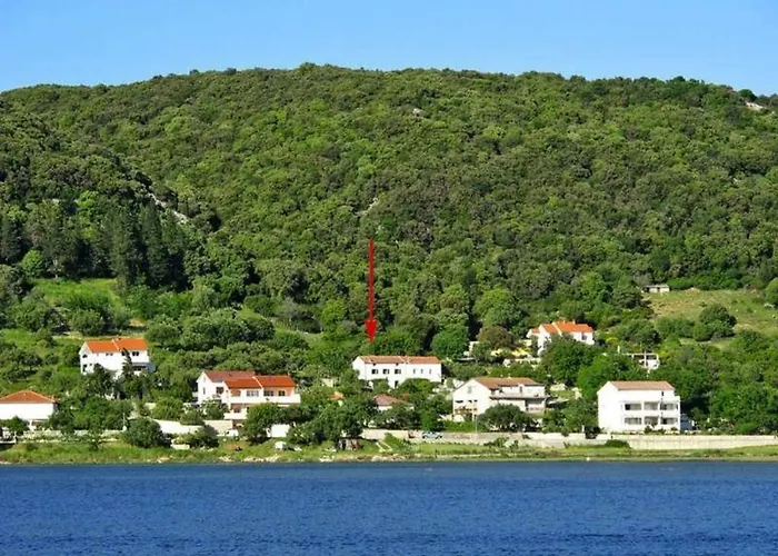 Viskic Holiday home *