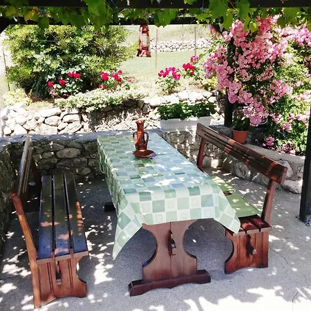 Viskic Holiday home *